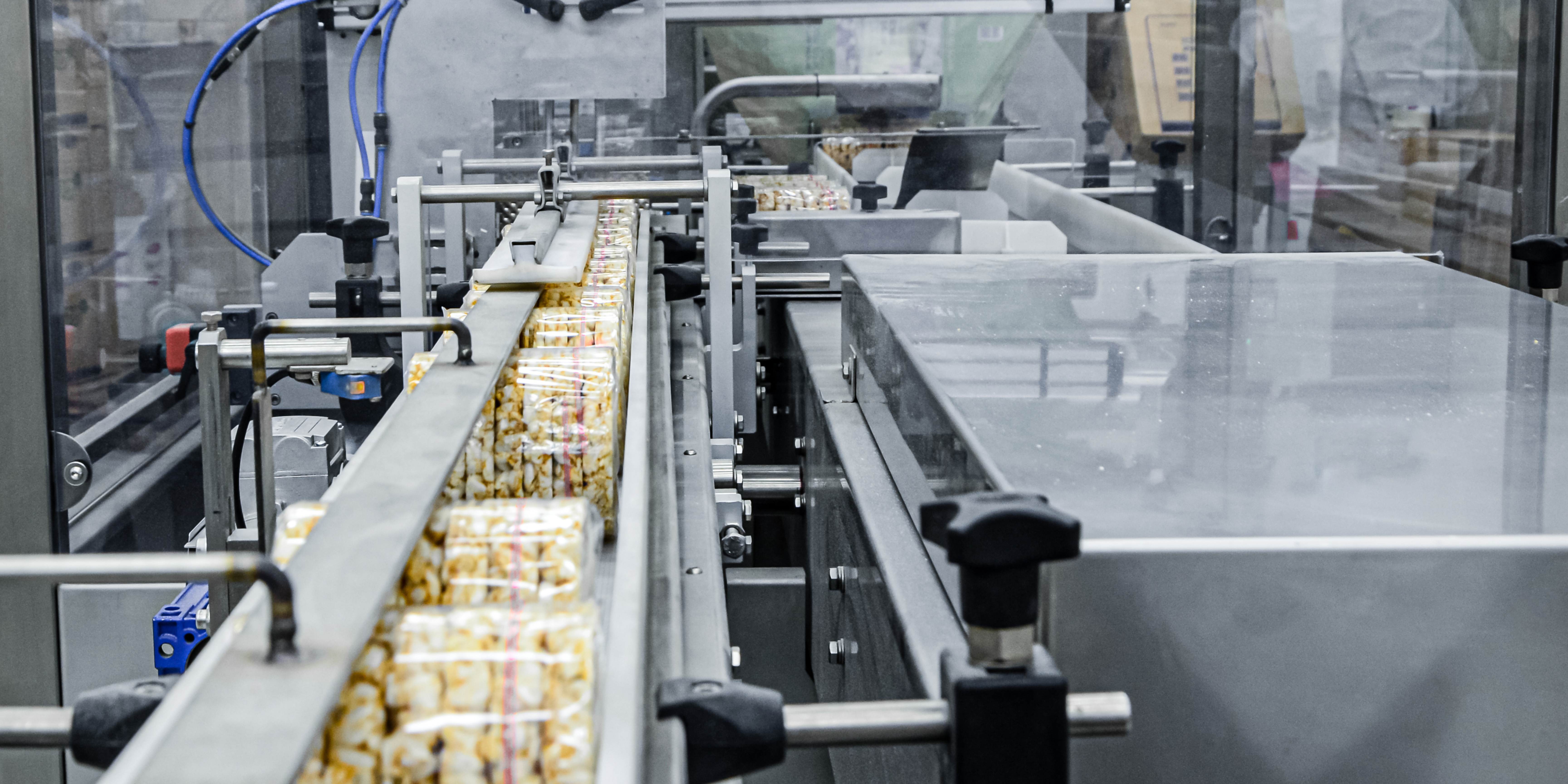 Food Manufacturing Fmcg Industry Report
