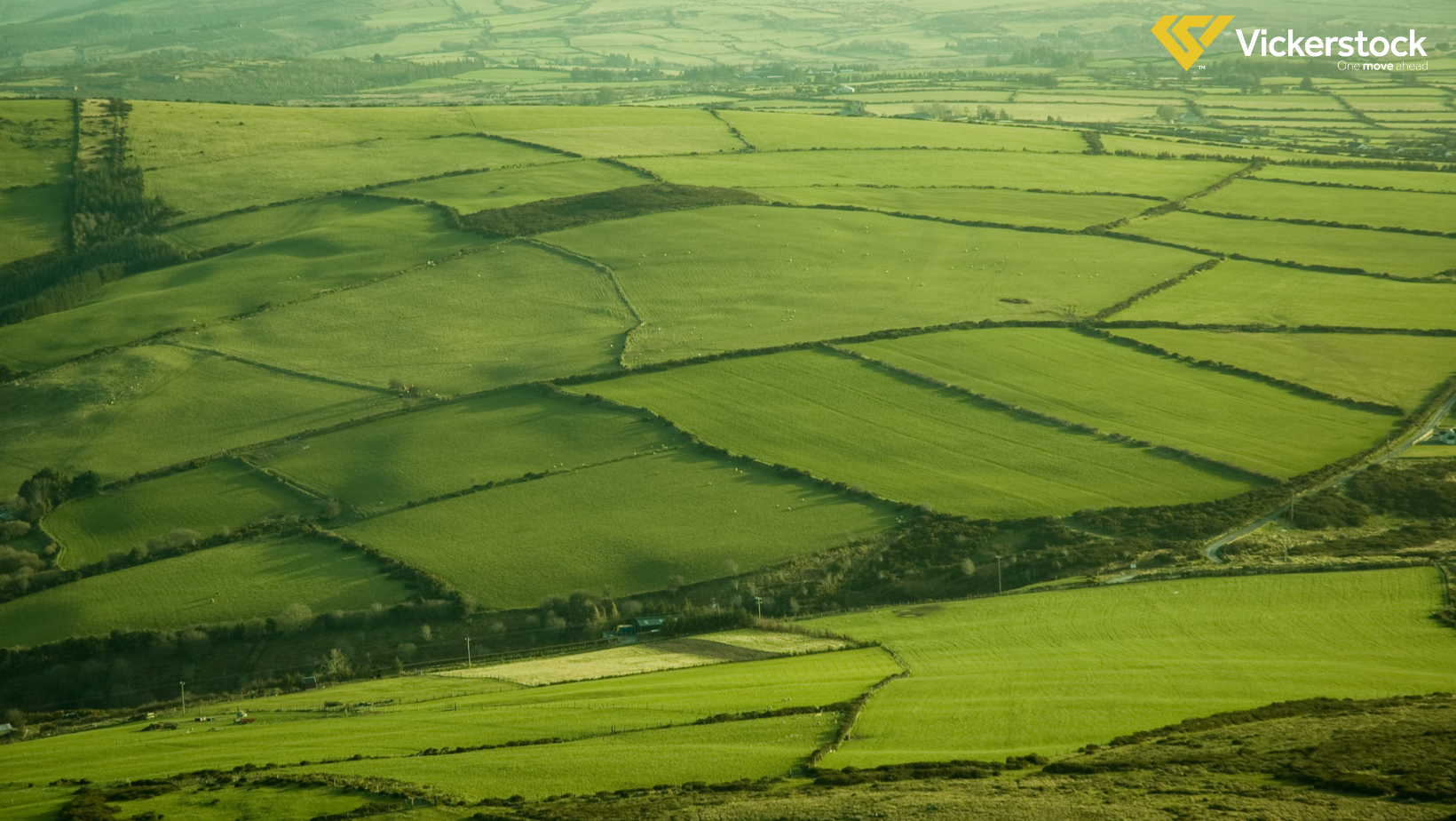 Ireland Food Insights 